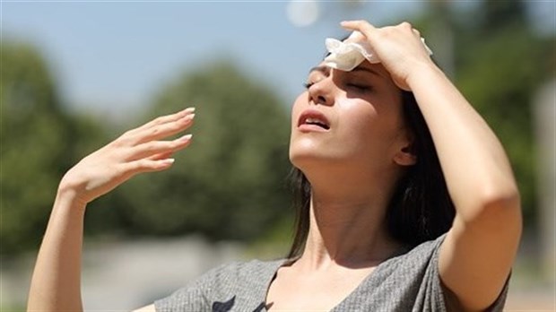 Heat and fire danger high in Suroît this Wednesday  