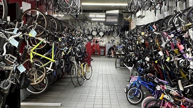 Lack of staff: Le Zèbre Rouge suspends bike sales  