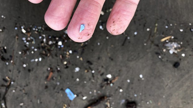 Les microplastiques pourraient augmenter le risque de maladies non transmissibles