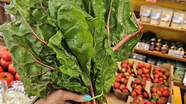 Des produits frais offerts chaque semaine au Marché Écolocal 