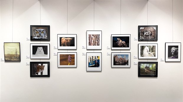 Until August 8: Club photo Vaudreuil-Dorion exhibits its best photos   