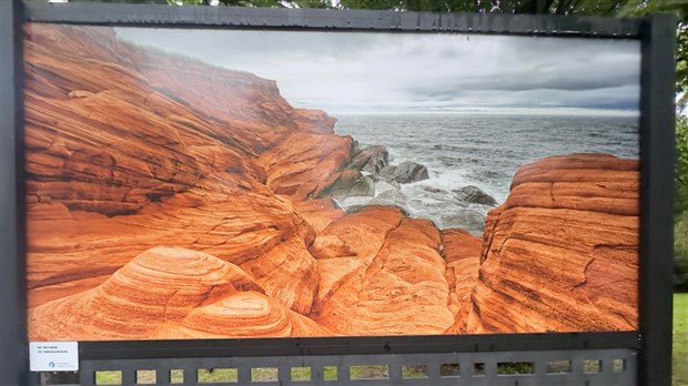 Le Club photo Vaudreuil-Dorion expose au parc Le 405