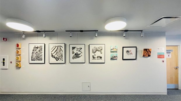 Artiste recherché pour exposer à Vaudreuil-Dorion cet automne 