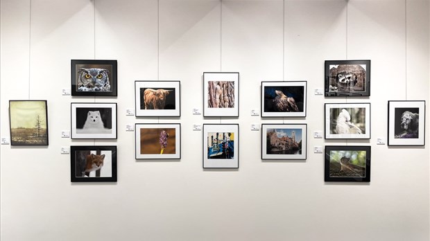 Le Club photo Vaudreuil-Dorion expose ses meilleures photos