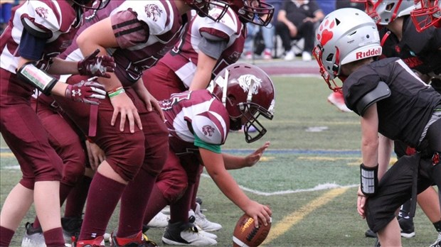 The Stallions Football Association recruits new players