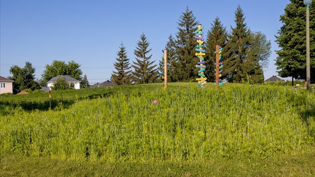 Des ilôts de biodiversité un peu partout à Vaudreuil-Dorion