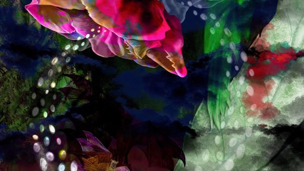 July 27: end of Diane Collet's residency and vernissage at Maison-Valois