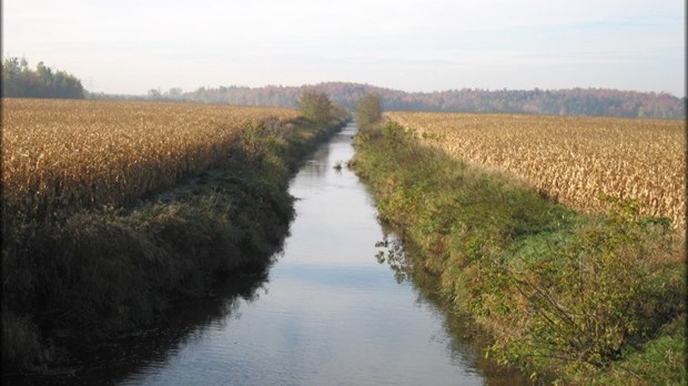 Une vision globale quant à l’entretien des cours d’eau demandée par l'UPA