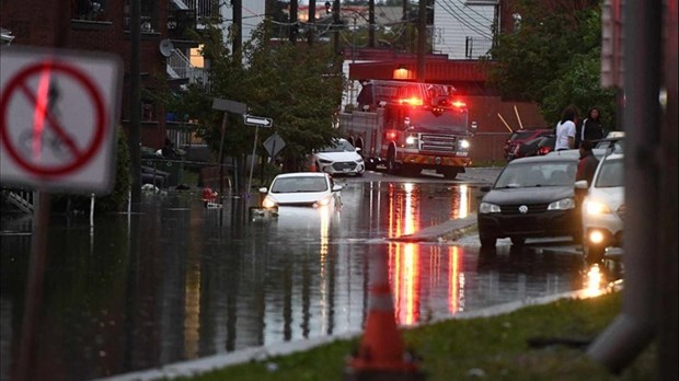 Psychosocial support for Storm Debby victims 