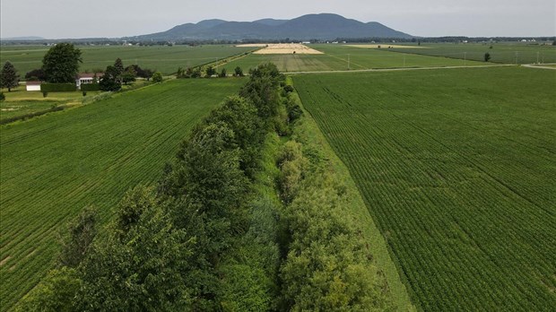 Over 4 hectares of farmland developed for sustainable agriculture and biodiversity