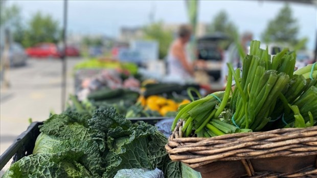Coup d’envoi pour le marché public de Salaberry-de-Valleyfield