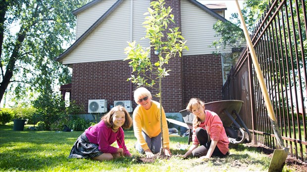 La campagne Un arbre pour mon quartier est de retour à Pincourt