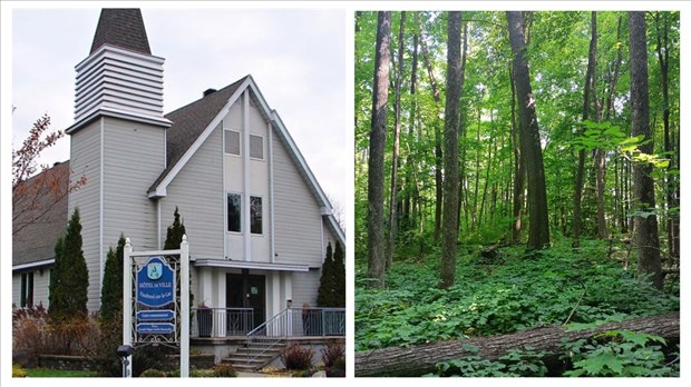 Saving a forest: Vaudreuil-sur-le-Lac takes another step forward 