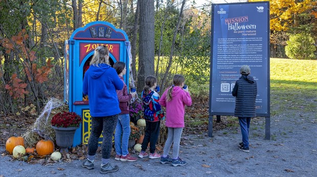  Vaudreuil-Dorion: the Phantom Captain moors at Harwood Nature Park 