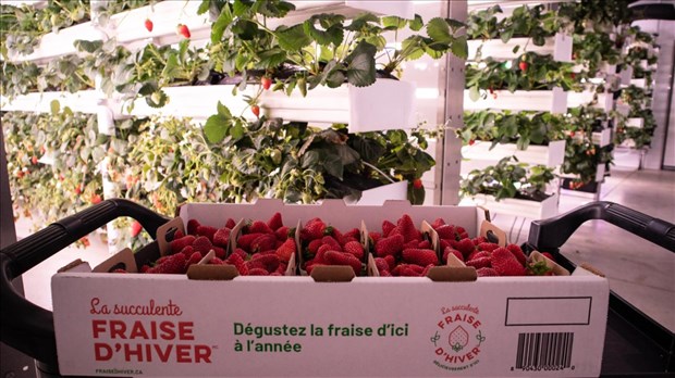 Mise en vente de l'entreprise locale Ferme d'Hiver 