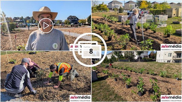 EN VIDÉO : Verger communautaire au parc Lorne-Worsley : l’initiative citoyenne d’Éric Jean