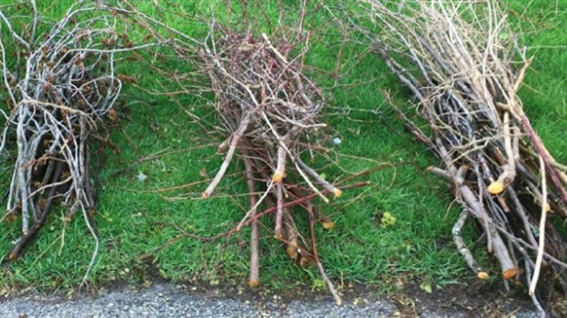 La collecte d'automne débutera le 14 octobre