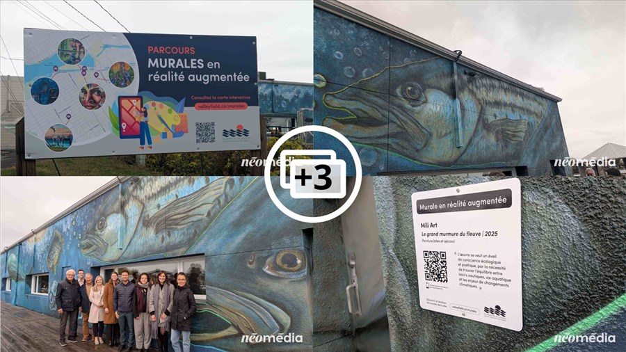 Cinq nouvelles murales font leur apparition à Salaberry-de-Valleyfield 