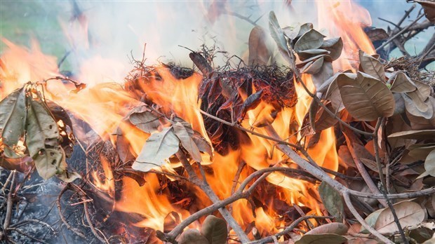 Levée totale de l'interdiction de faire des feux à ciel ouvert 