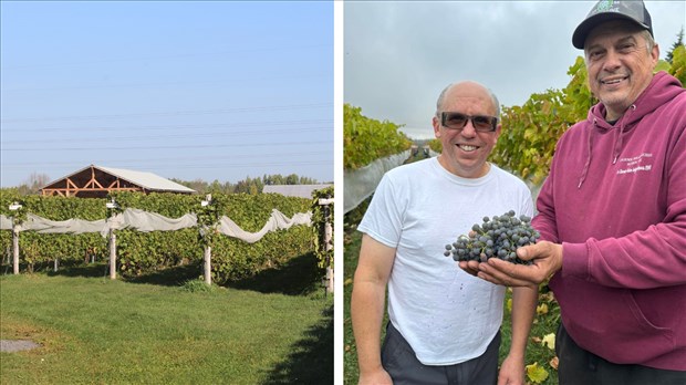 Collaboration entre la microbrasserie Schoune et le Bourg des Cèdres