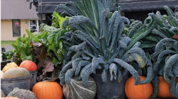 C'est la Grande récolte automnale à Saint-Lazare ce samedi 