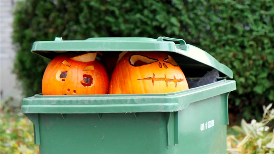 Comment donner une deuxième vie à vos citrouilles?