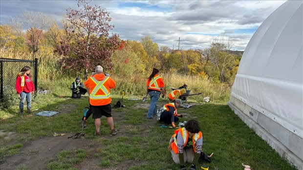 Plus de 400 arbres plantés à Beauharnois 