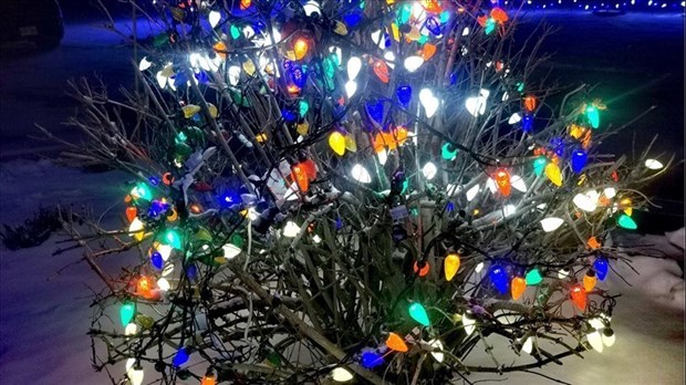 Quand installez-vous vos décorations de Noël? 