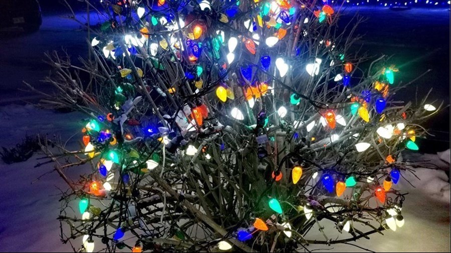 Quand installez-vous vos décorations de Noël? 