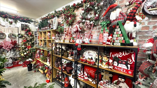 Retour de la campagne Tout se trouve ici