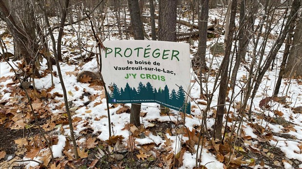 Vaudreuil-sur-le-Lac protège son dernier boisé mature