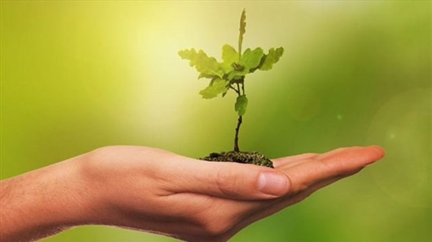 Verdissement de la Ville de Salaberry-de-Valleyfield