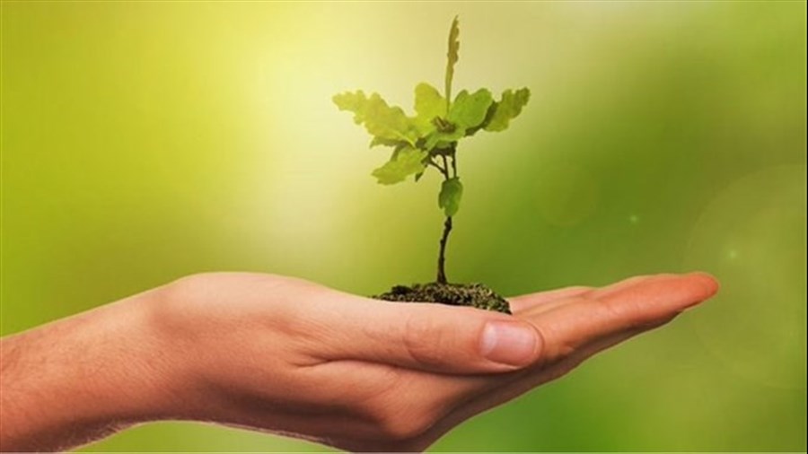 Verdissement de la Ville de Salaberry-de-Valleyfield