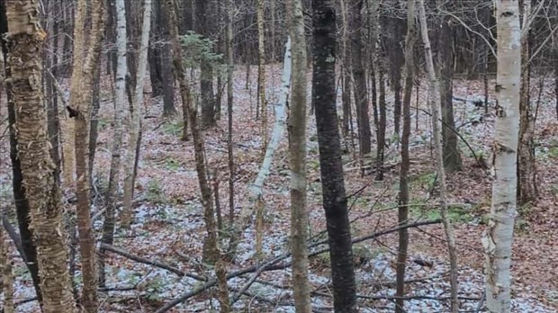 Signaler une activité de chasse suspecte