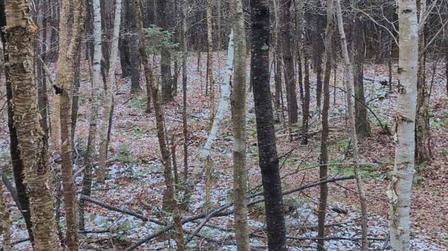 Signaler une activité de chasse suspecte