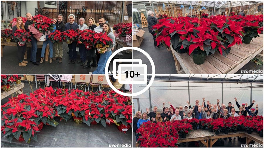 15e campagne de poinsettia au profit de la Maison de soins palliatifs Libella 