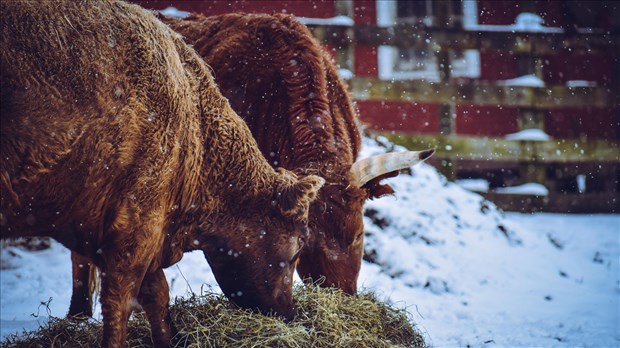 Stratégie bioalimentaire Montérégie dévoile ses projets d'avenir