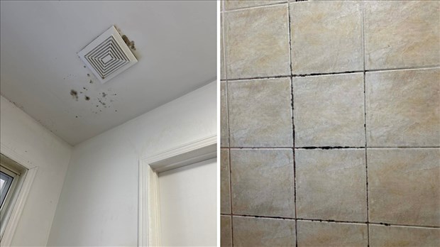 Une mère de l'île Perrot aux prises avec une situation difficile