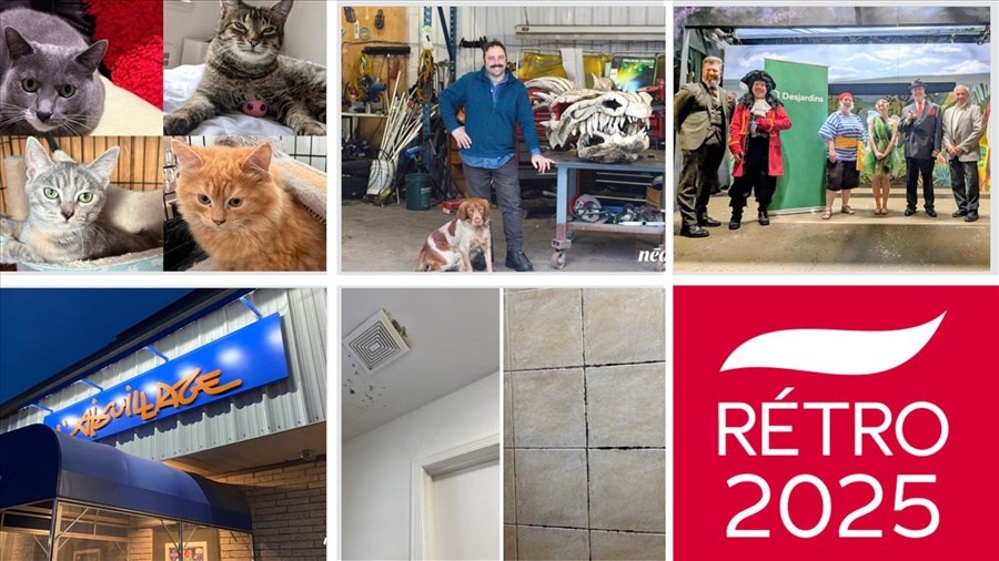 Retour sur l'actualité du mois de décembre 2025