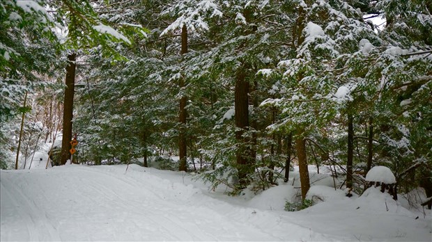 Sécurité en plein air : bien préparer vos excursions cet hiver