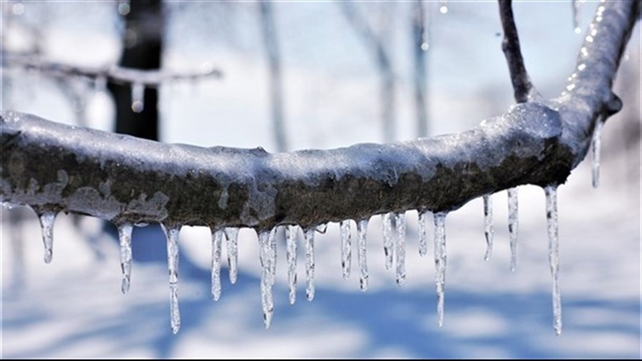 Comment protéger votre famille et votre maison lors de verglas