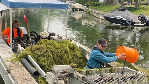 Saint-Zotique acquires a mowing boat