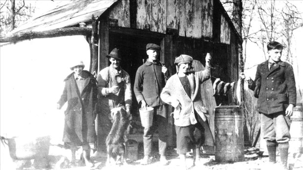 Courte histoire de la cabane à sucre