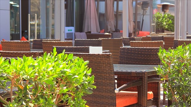 Des chiens sur des terrasses? Pas hygiénique selon plusieurs lecteurs 