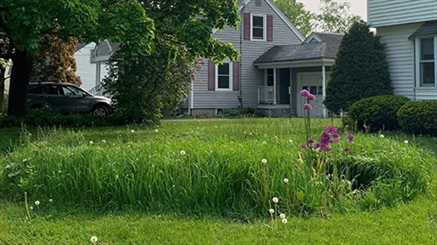 Un projet pilote pour créer des îlots de biodiversité à Vaudreuil-Dorion 