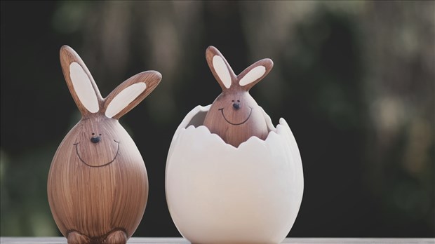 Le lapin de Pâques : entre traditions anciennes et douceurs chocolatées