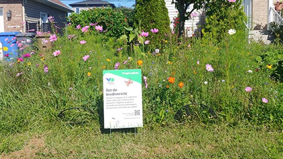 Vaudreuil-Dorion invite ses citoyens à poser des gestes concrets pour la biodiversité