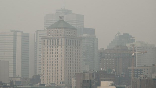 Les changements climatiques aggravent les allergies