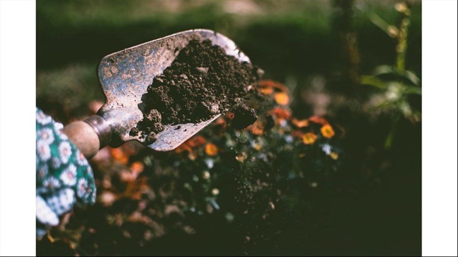 Distribution de compost gratuite en mai dans Beauharnois-Salaberry