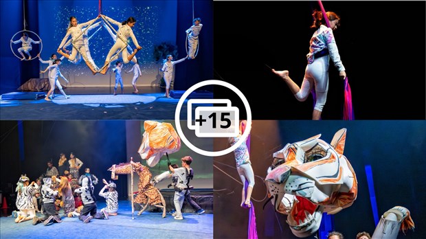 Festi-Cirque: Retour en images sur le spectacle de l'école Harwood 